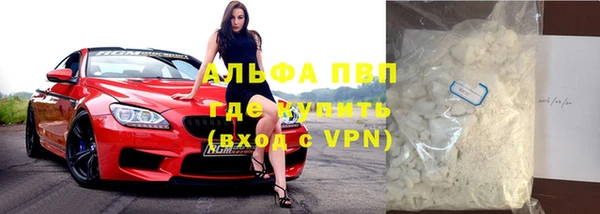 ПСИЛОЦИБИНОВЫЕ ГРИБЫ Няндома