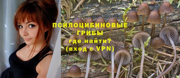 гашик Абинск