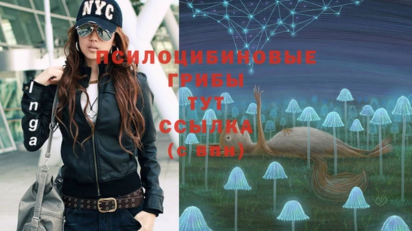 гашик Абинск