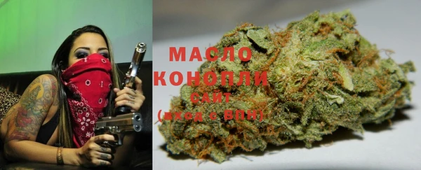 гашик Абинск