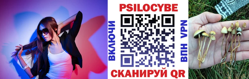 Галлюциногенные грибы Psilocybe  Янаул 