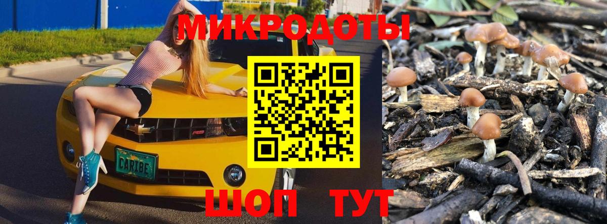 Псилоцибиновые грибы Cubensis  Вход с VPN  Янаул 