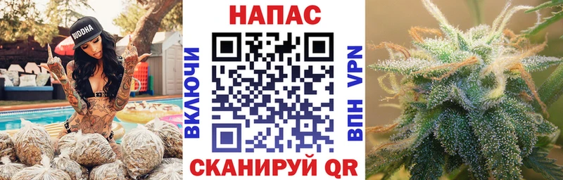 гидра   Янаул  Бошки Шишки гибрид 